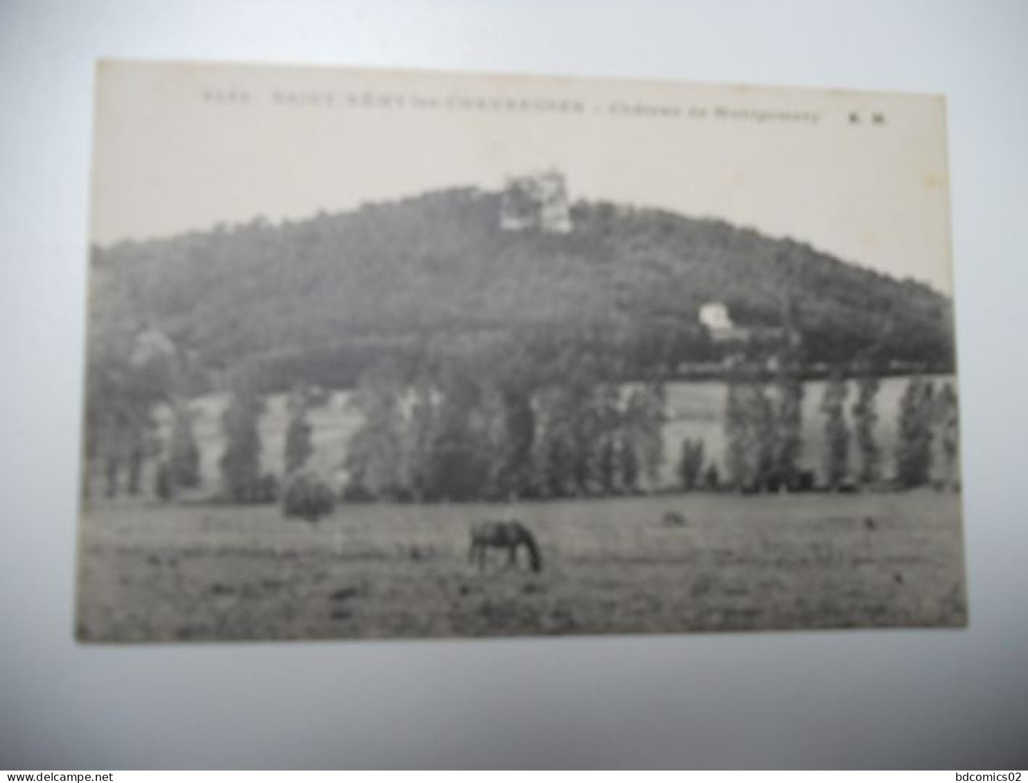 DEP 78 YVELINES CARTE ANCIENNE EN N/BL Saint-Rémy-les-Chevreuses  Château De Montgomery PATURE (un CHEVAL)  N°2065 EDIT - St.-Rémy-lès-Chevreuse