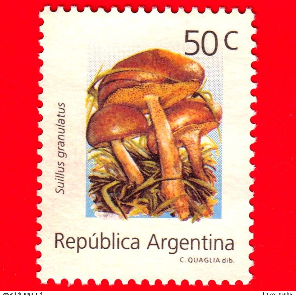 ARGENTINA - Usato -  1994 - Funghi - Mushrooms - Suillus Granulatus - 50 - Gebraucht