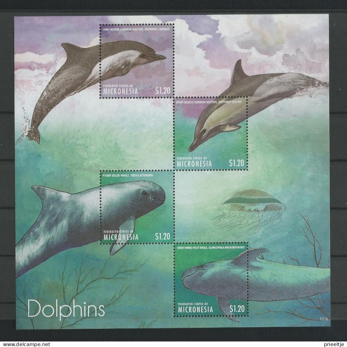 Micronesia 2013 Dolphins Sheet  Y.T. 2030/2033 ** - Micronésie