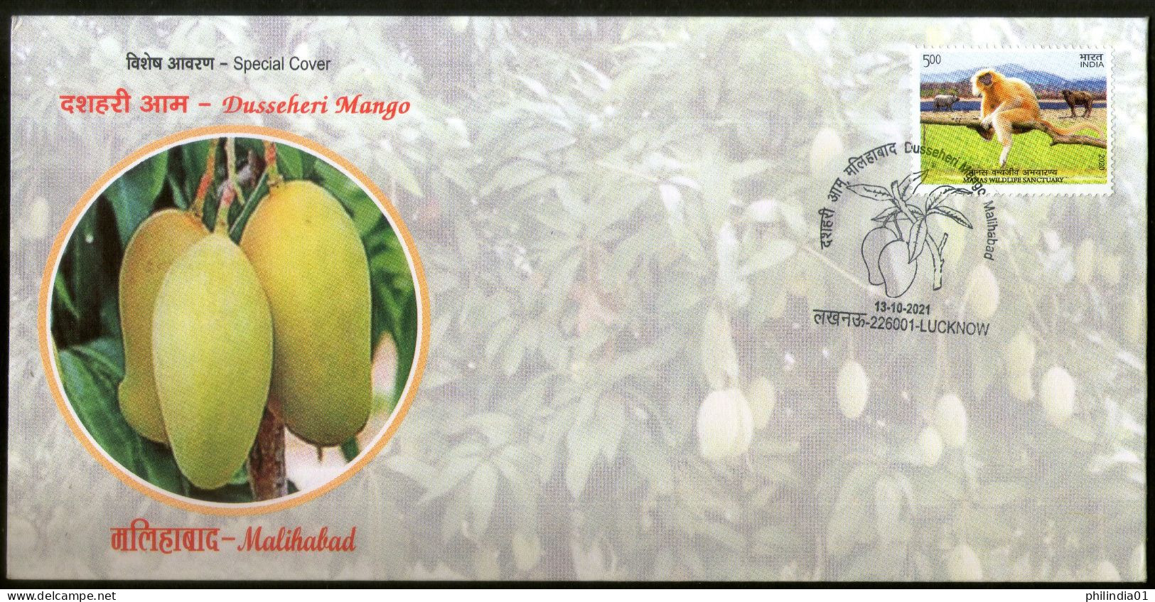 India 2021 Malihabad Dusseheri Mango Fruit GI Tag Special Cover # 6797 - Frutta