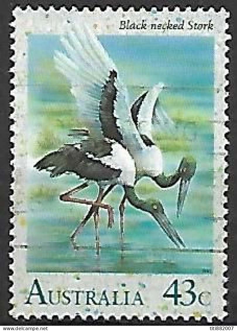 AUSTRALIE   -  1991 .  Oiseau  échassier - Cicogne & Ciconiformi