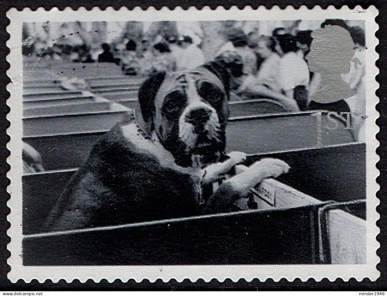 GREAT BRITAIN 2001 QEII 1st Black & Grey, Cats & Dogs-St Bernard In Show Box SG2189 Used - Oblitérés