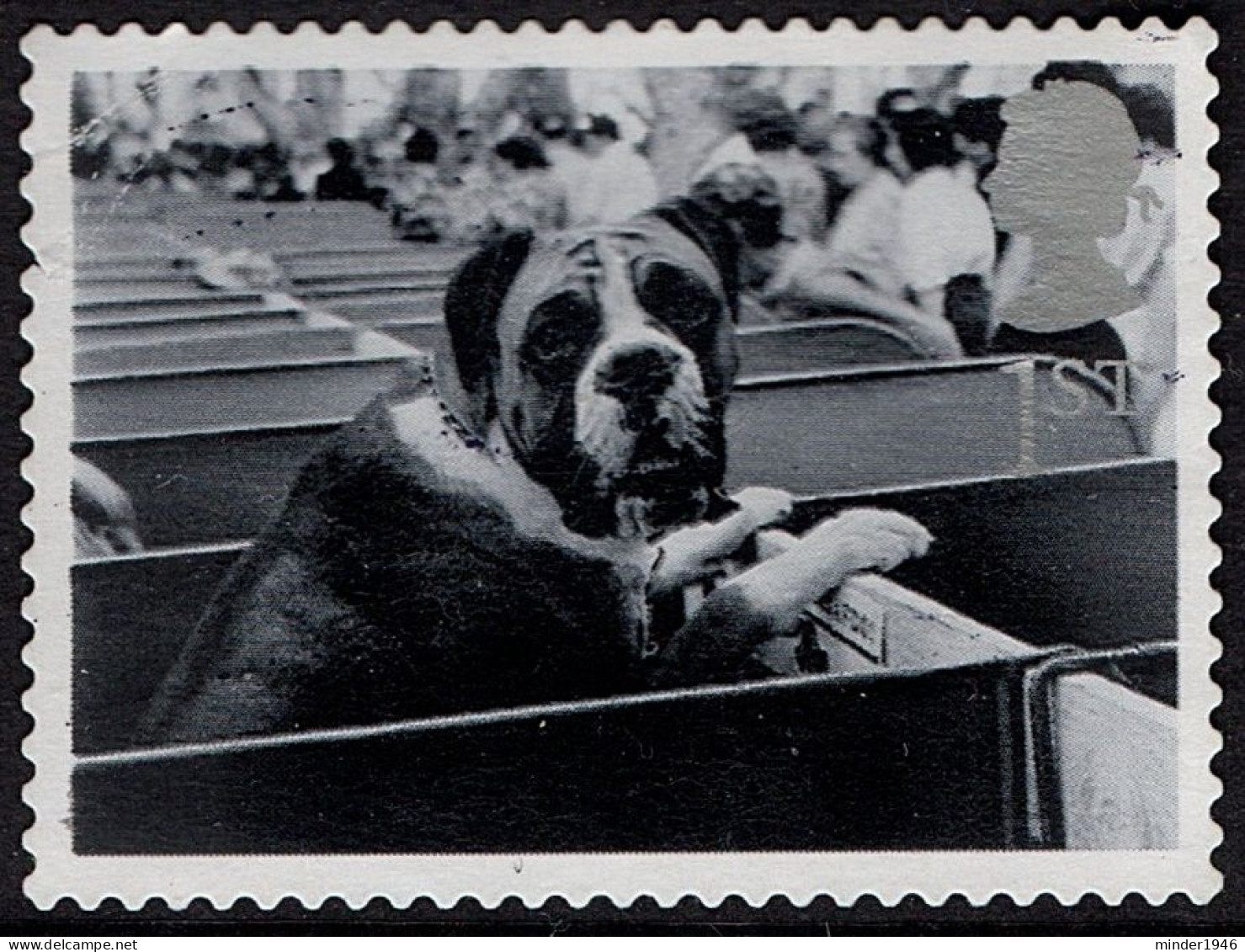 GREAT BRITAIN 2001 QEII 1st Black & Grey, Cats & Dogs-St Bernard In Show Box SG2189 Used - Gebraucht