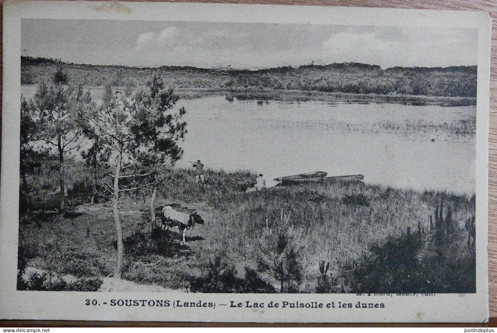 SOUSTONS LE LAC DE PUISOLLE ET LES DUNES - Soustons