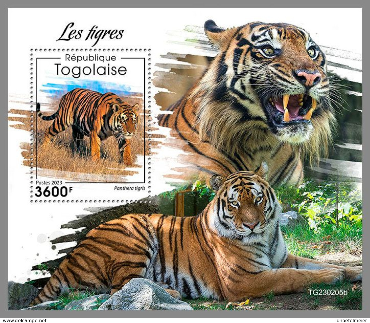 TOGO 2023 MNH Tigers Tiger Tigres S/S – OFFICIAL ISSUE – DHQ2414 - Felinos