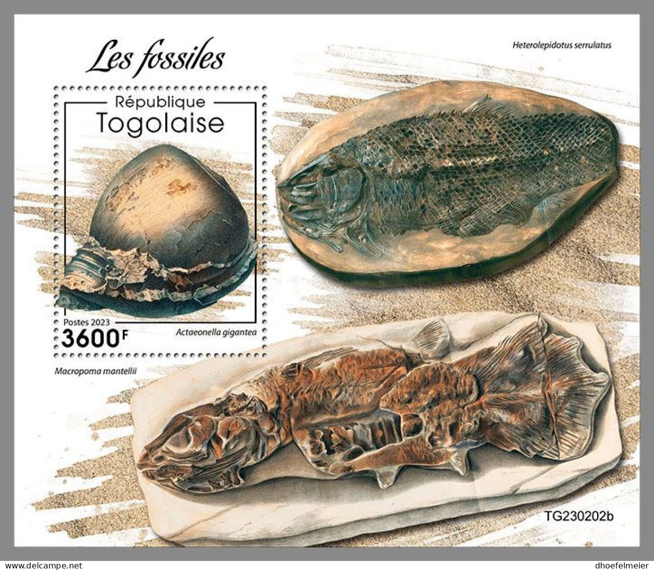 TOGO 2023 MNH Fossils Fossilien S/S – OFFICIAL ISSUE – DHQ2414 - Fossils