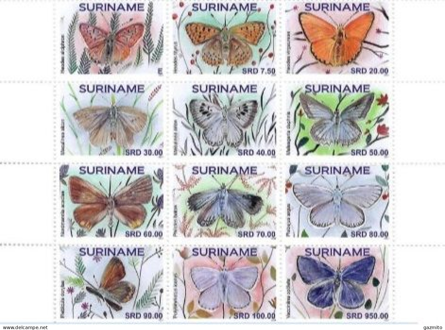 Suriname 2024, Butterflies, 12val - Surinam