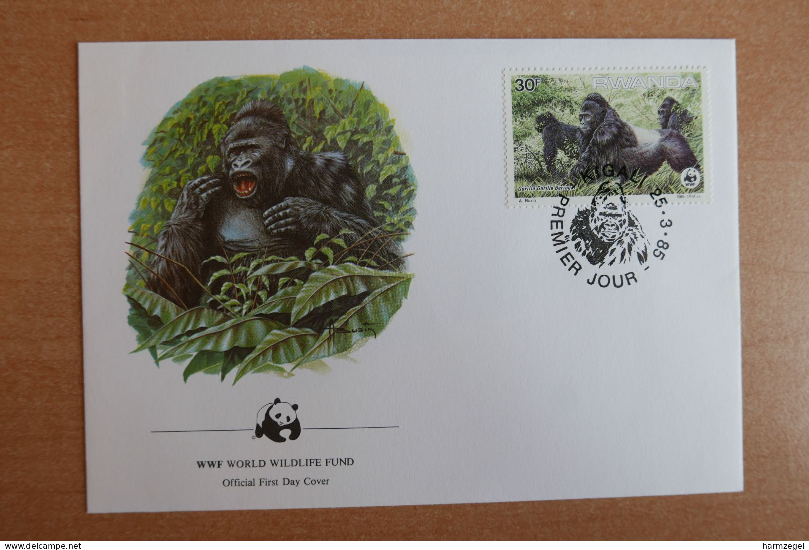 Monkey, WWF, Gorilla - Singes