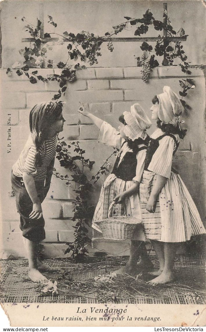 ENFANTS - Groupes D'enfants & Familles - La Vendange - Le Beau Raisin Bien Mur Pour La Vendange - Carte Postale Ancienne - Children And Family Groups