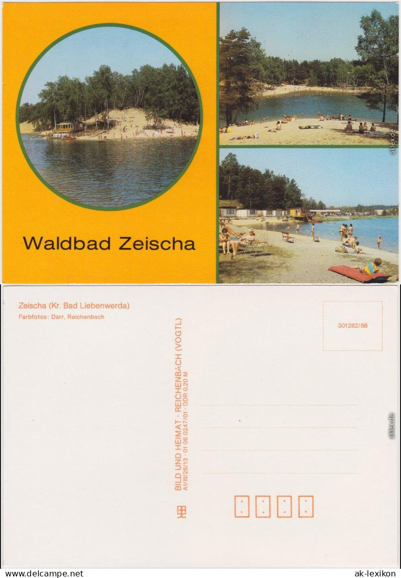 Ansichtskarte Zeischa-Bad Liebenwerda Waldbad - Ansicht - Strand Und See 1988 - Bad Liebenwerda