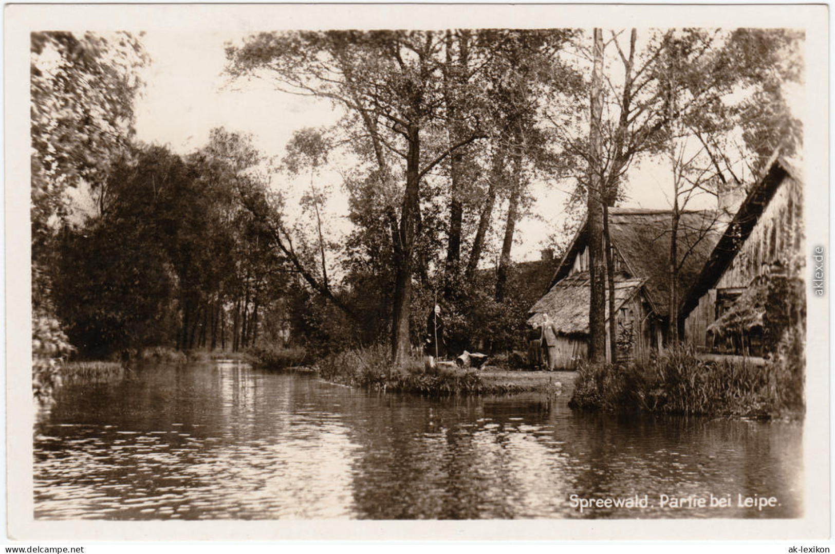 Ansichtskarte Leipe Lübbenau (Spreewald) Lipje Lubnjow Spreewald, Häuser 1930 - Luebbenau