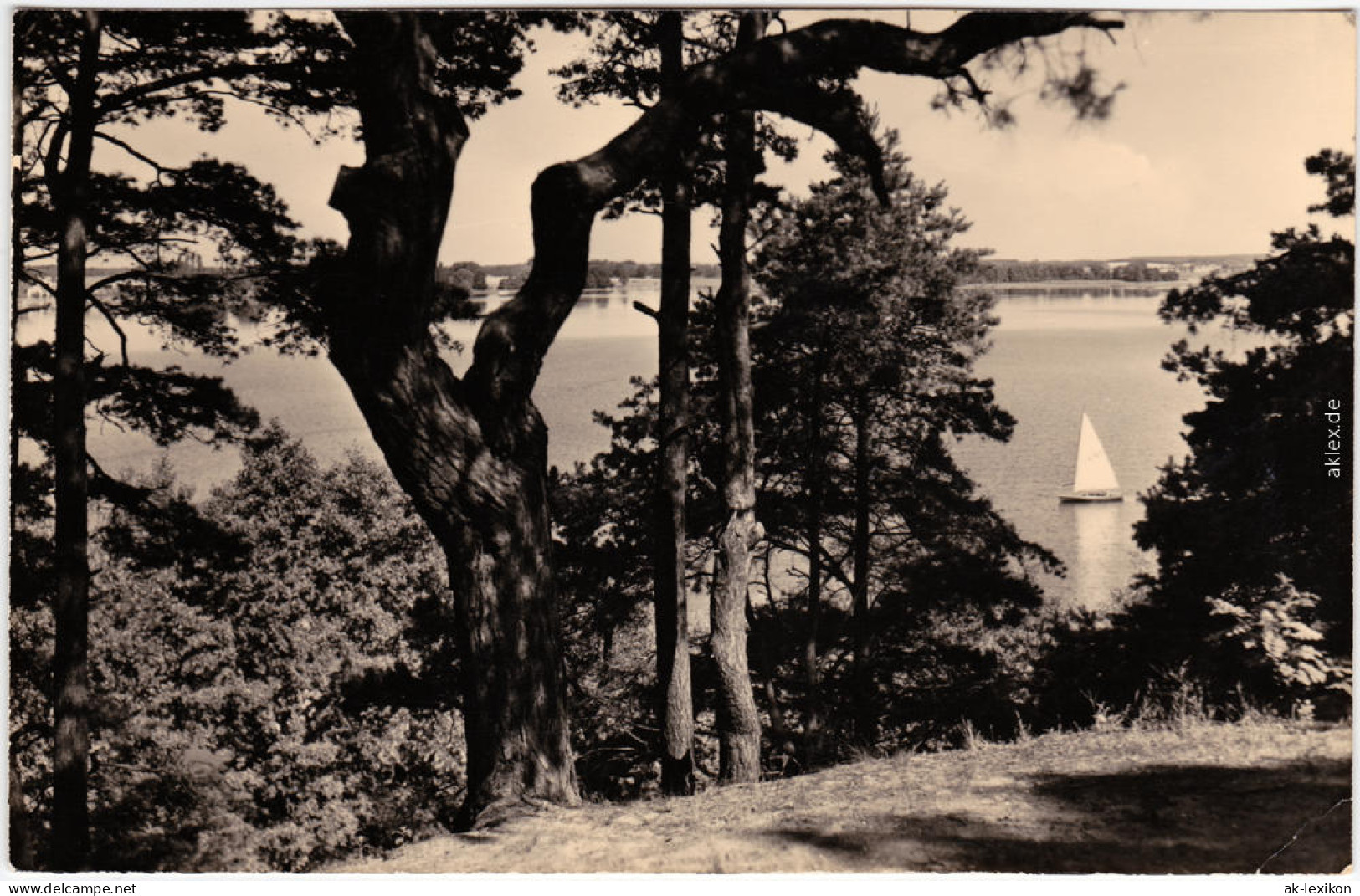 Goyatz Schwielochsee Blick Auf Den Kleinen Schwielochsee 1961 - Goyatz