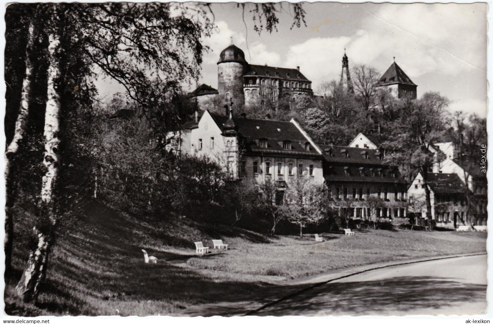 Mylau Straßenpartie Und Blick Zur Burg  Foto Ansichtskarte Vogtland1959 - Mylau
