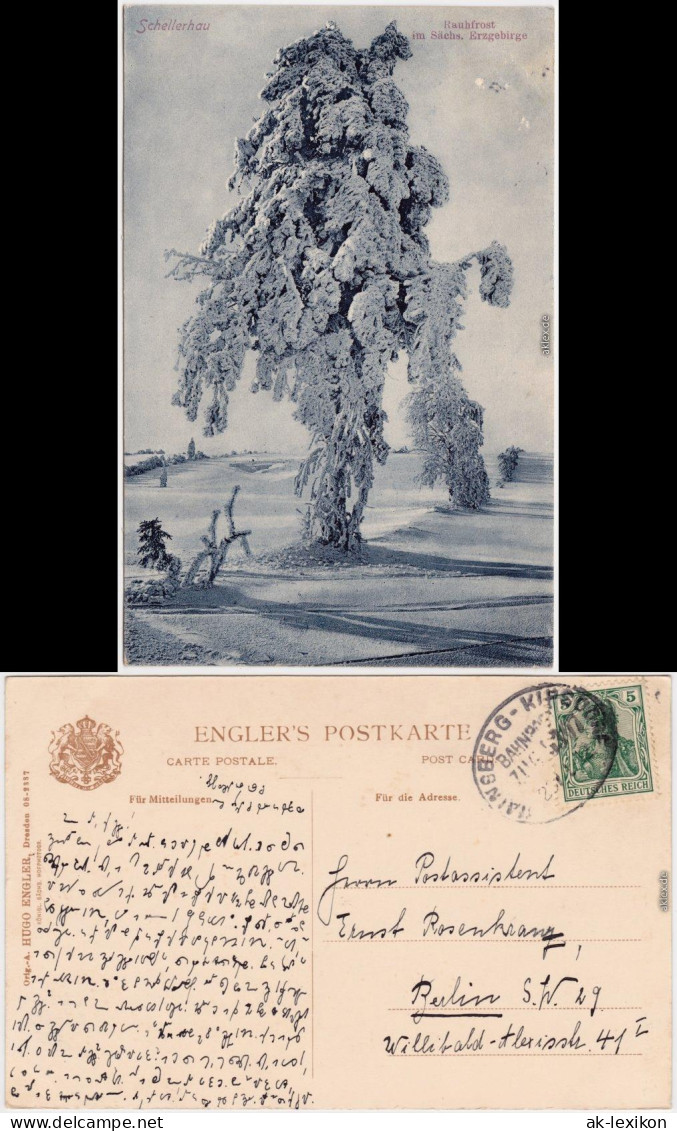 Schellerhau Altenberg Erzgebirge Ein Baum Im Rauhfrost  Winterliche Szene 1912 - Schellerhau