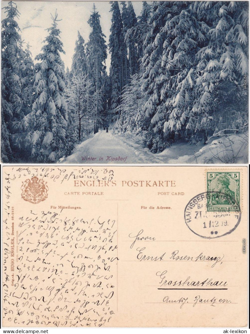 Kipsdorf Altenberg (Erzgebirge) Winterwald Ansichtskarte  1909 - Kipsdorf