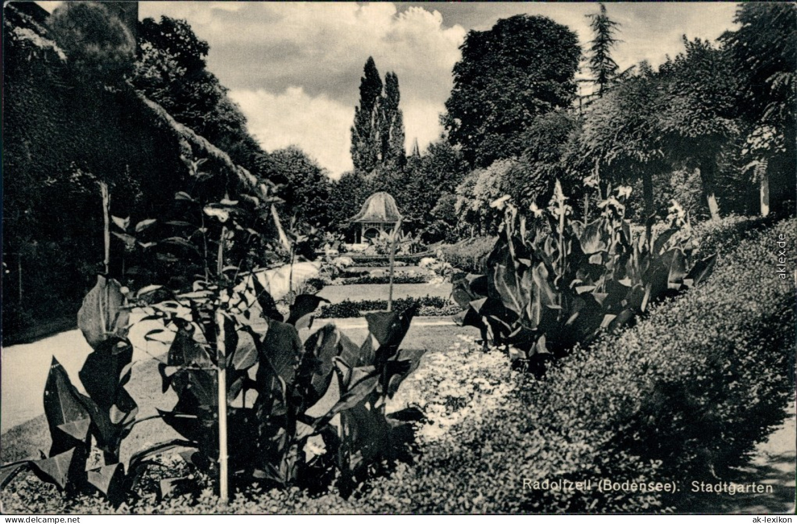 Ansichtskarte Radolfzell Am Bodensee Stadtgarten Mit Vielen Blumenbeeten 1968 - Radolfzell