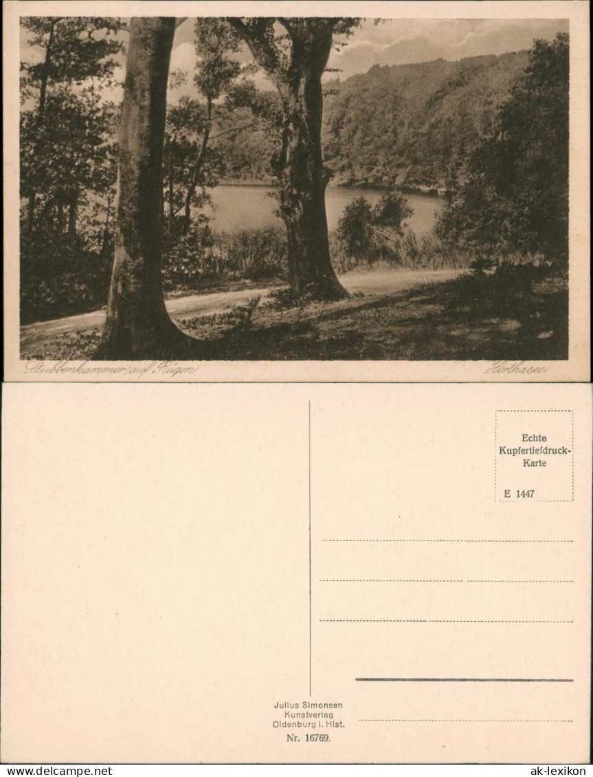 Ansichtskarte Stubbenkammer-Sassnitz Stubbenkammer - Wald 1926 - Sassnitz