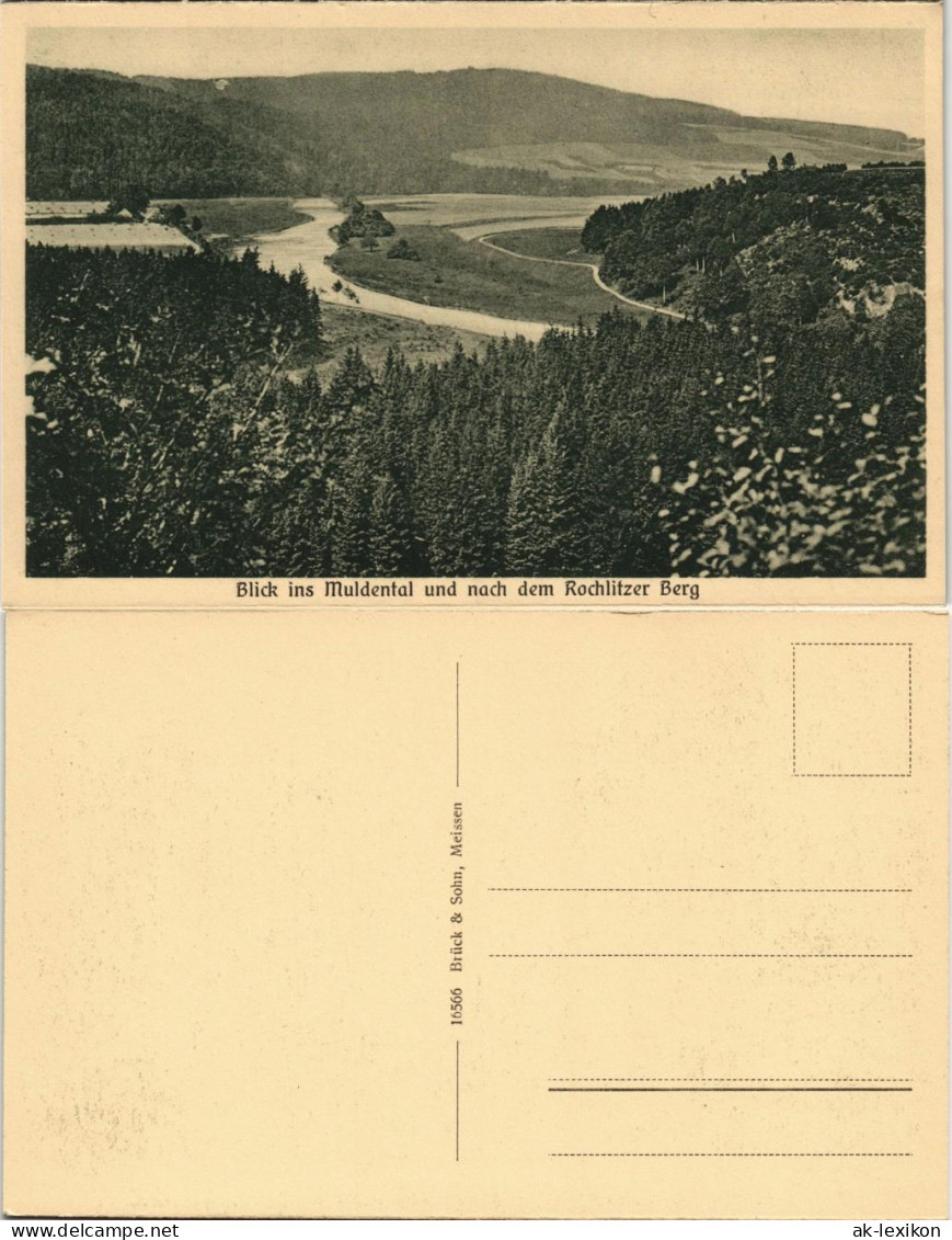 Ansichtskarte Rochlitz Blick Ins Muldental Zum Rochlitzer Berg 1918 - Rochlitz