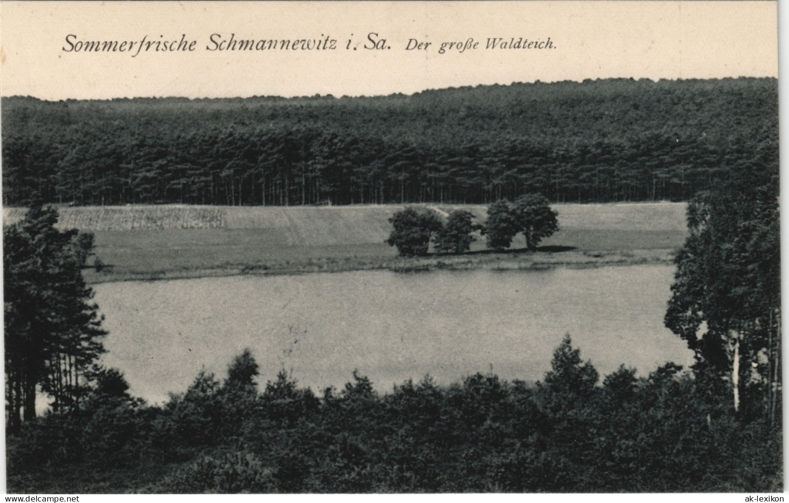 Ansichtskarte Schmannewitz-Dahlen Der Große Waldteich 1916 - Dahlen