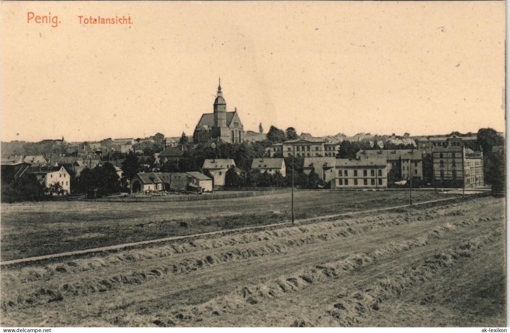 Ansichtskarte Penig (Mulde) Partie An Der Stadt 1913 - Penig