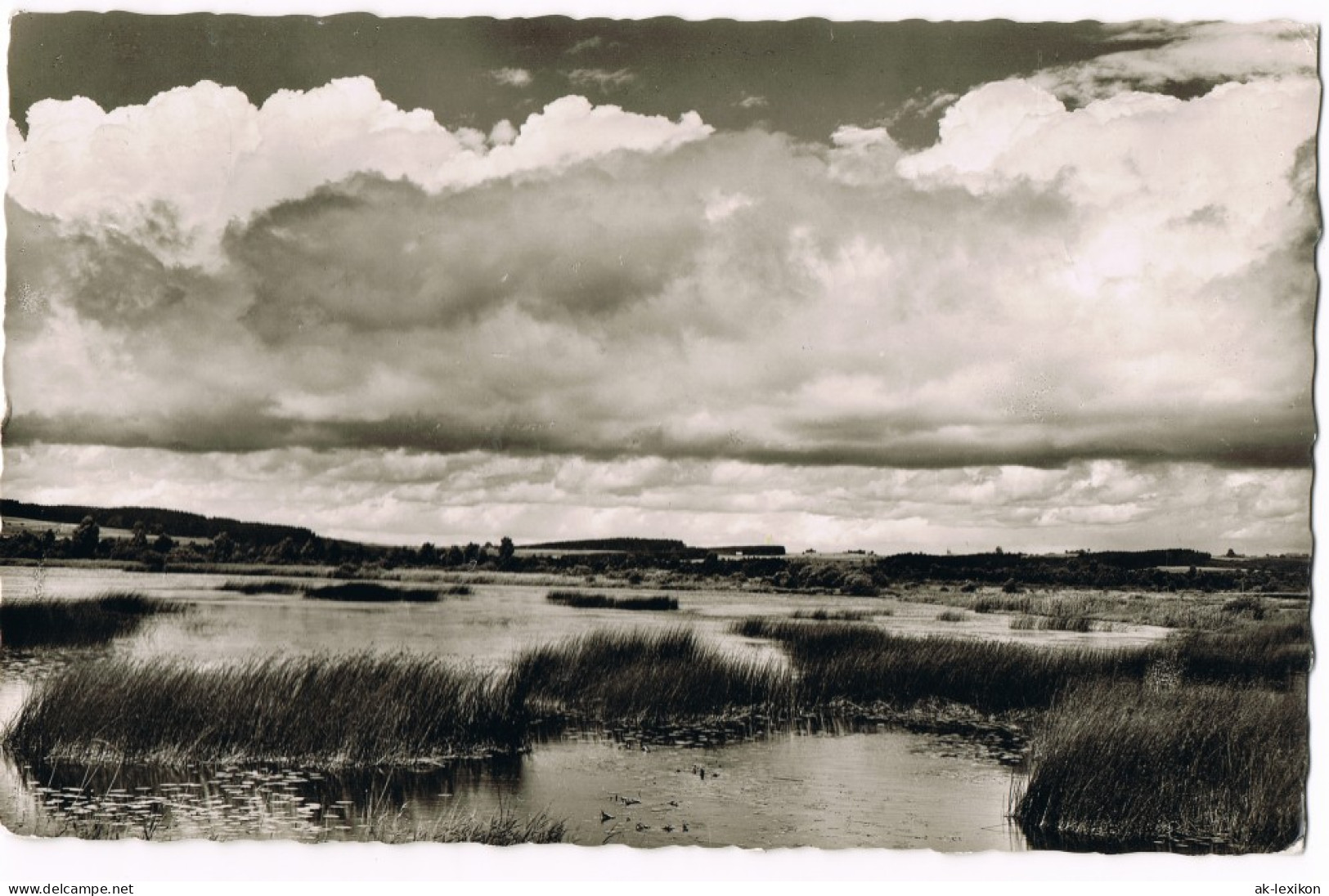 Ansichtskarte Bad Wurzach Bad Wurzach-Riedsee Panorama 1958 - Bad Wurzach