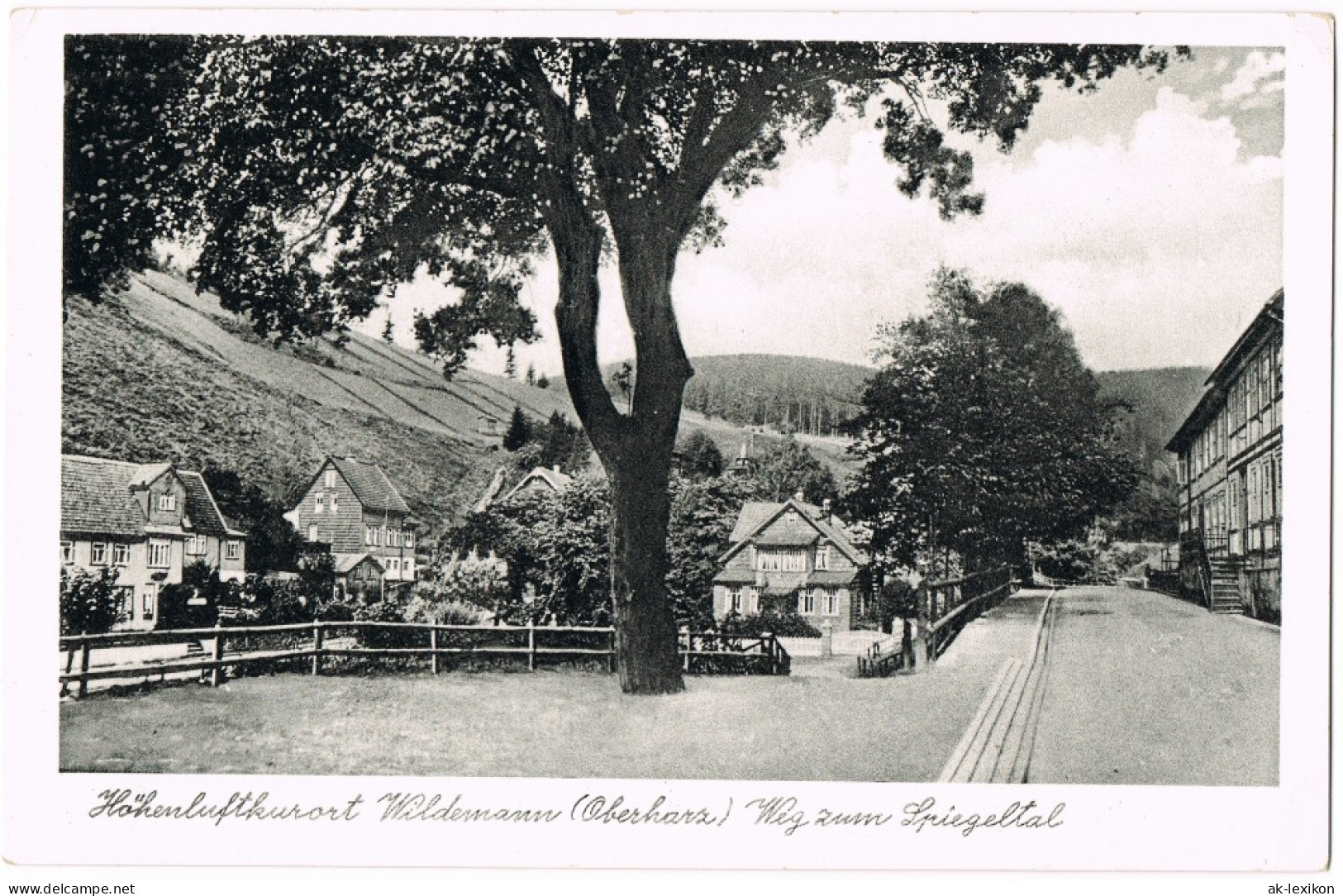 Ansichtskarte Wildemann (Innerstetal) Weg Zum Spiegeltal 1939 - Wildemann