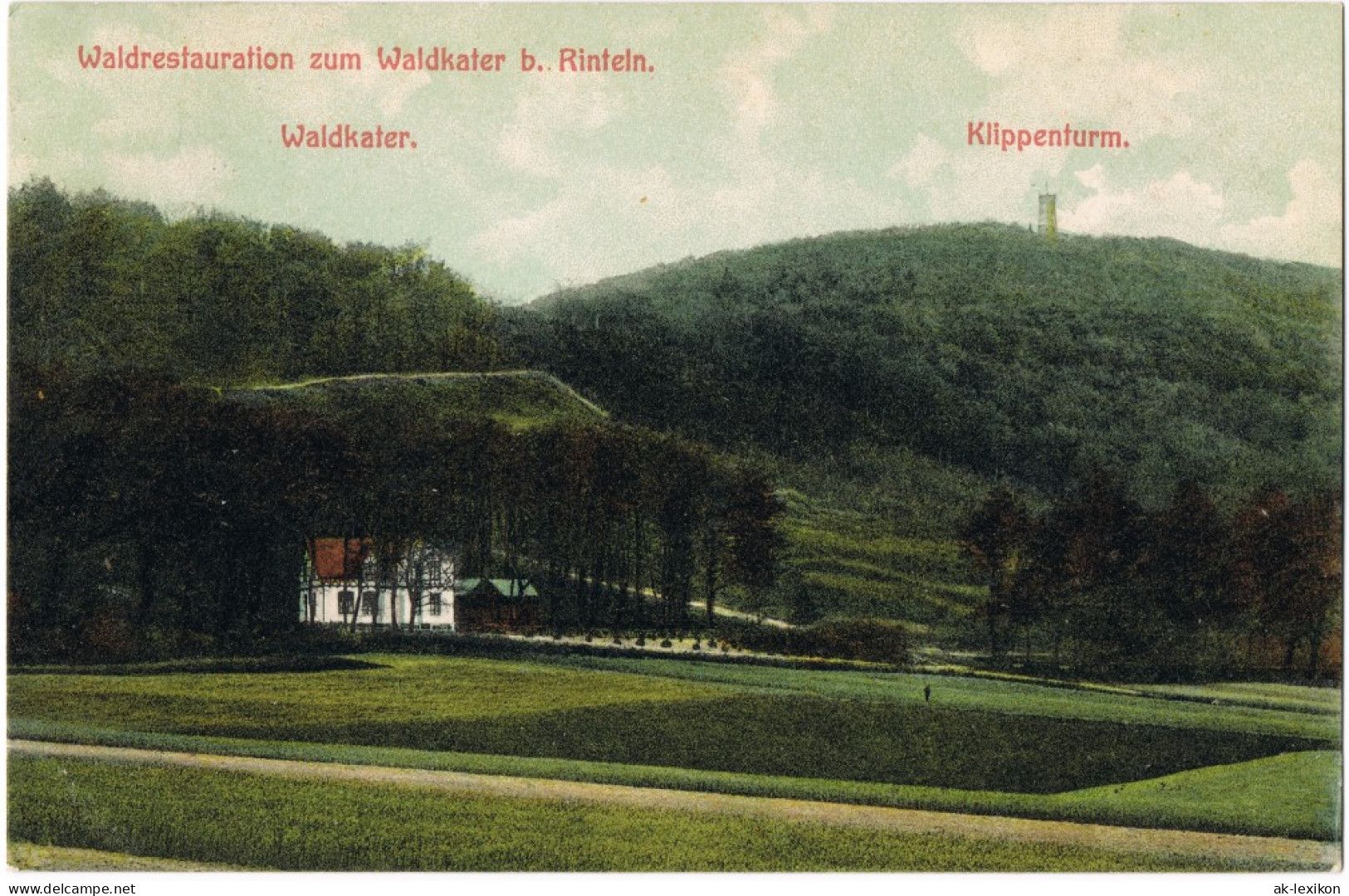 Ansichtskarte Rinteln Waldrestauration Zum Waldkater 1907  Gel. Bahnpost-Stempel - Rinteln