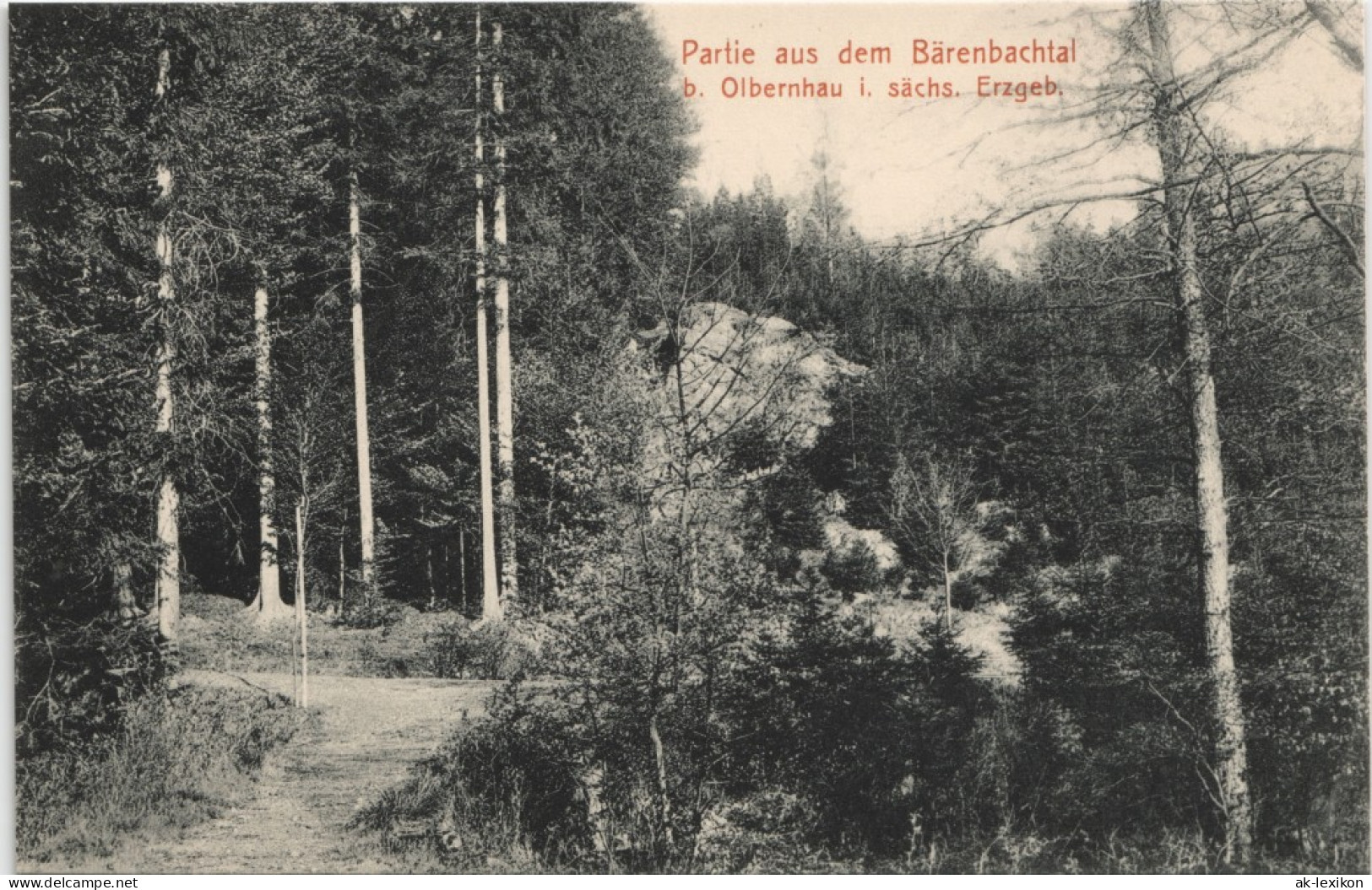 Ansichtskarte Olbernhau Partie Aus Dem Bärenbachtal 1913 - Olbernhau