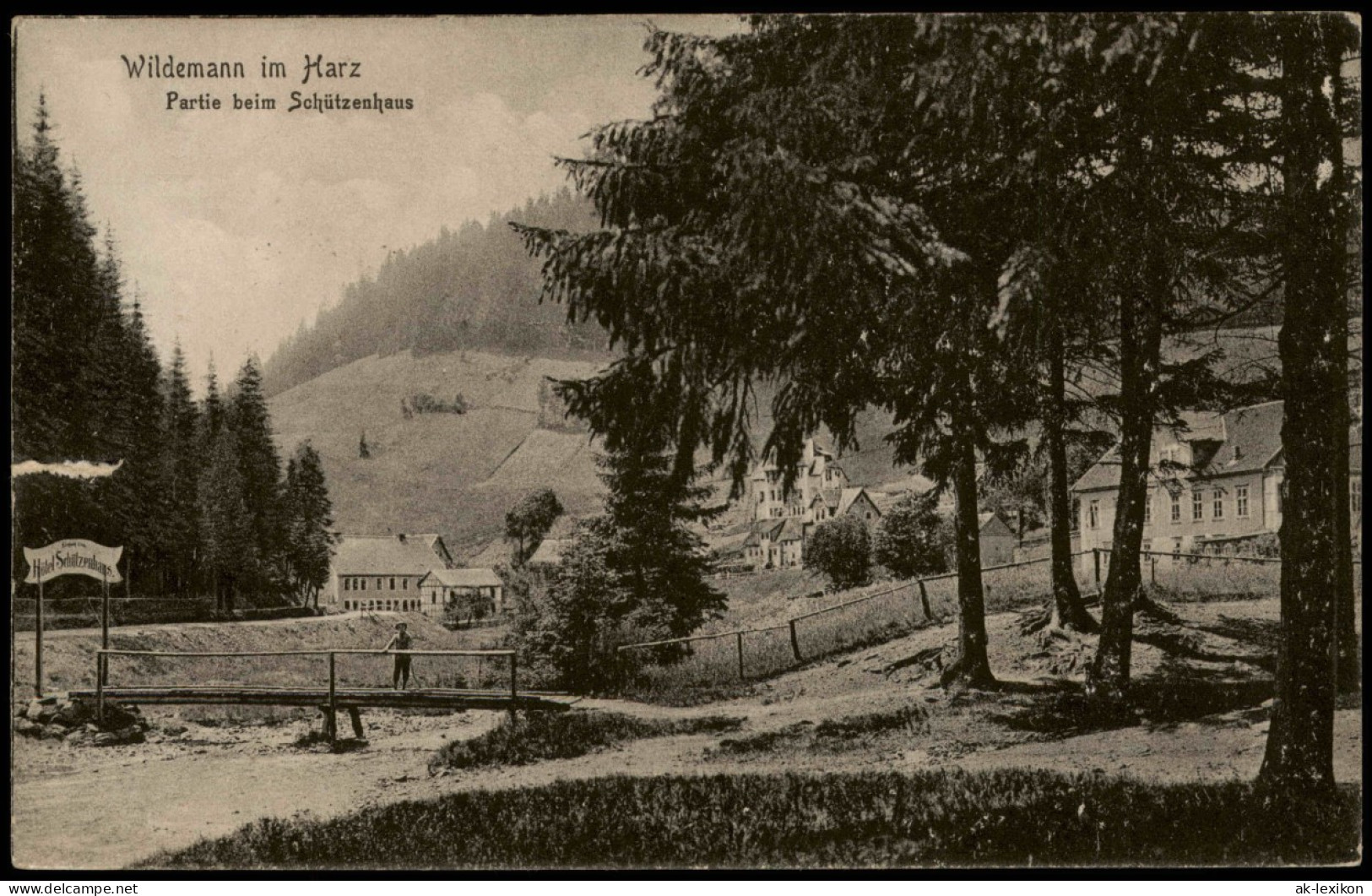Ansichtskarte Wildemann (Innerstetal) Partie Beim Schützenhaus 1926 - Wildemann