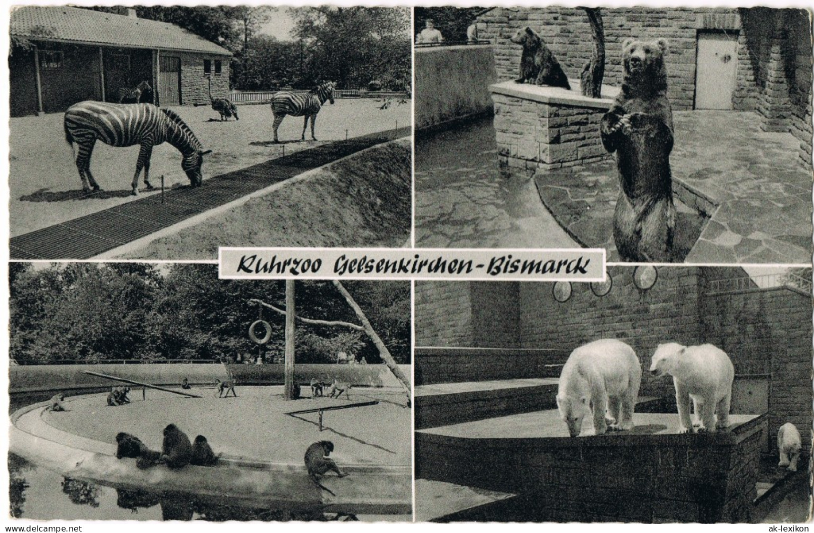 Ansichtskarte Gelsenkirchen Mehrbild-AK Ruhrzoo OT Bismarck, Div. Tiere 1961 - Gelsenkirchen