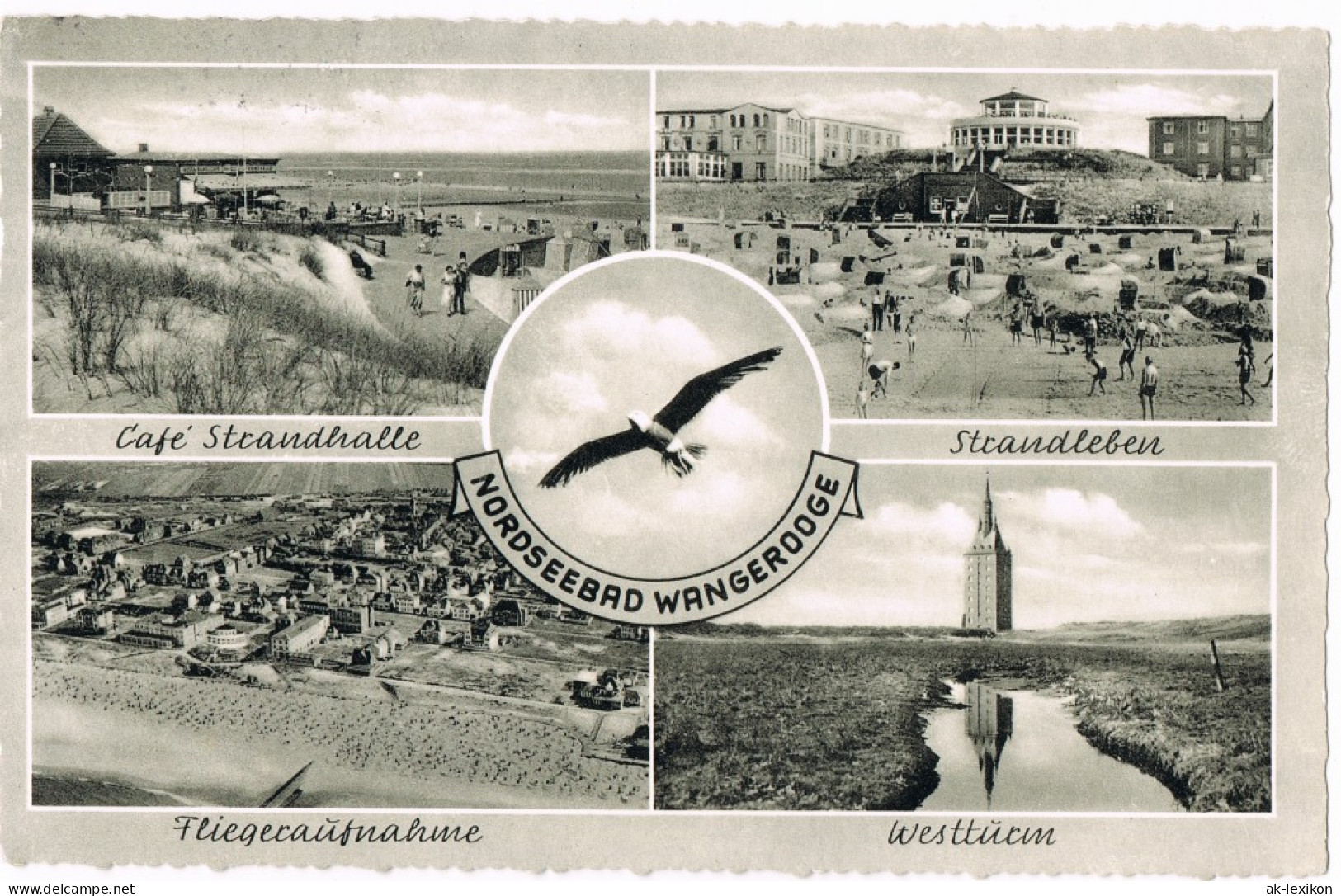 Ansichtskarte Wangerooge Cafe Strandhalle, Möwe, Luftbild 1958 - Wangerooge