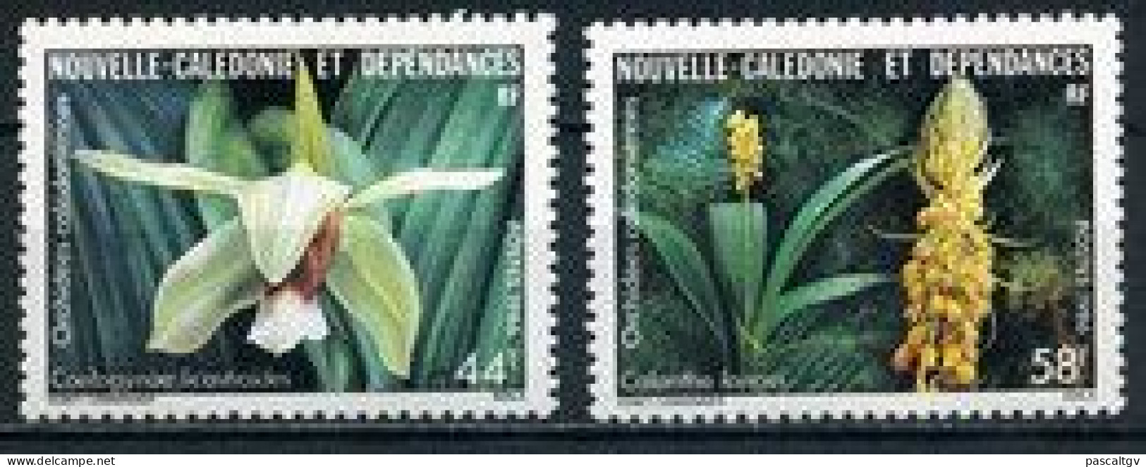 Nouvelle Calédonie - 1986 - Paire N°520/521 ** - Ungebraucht