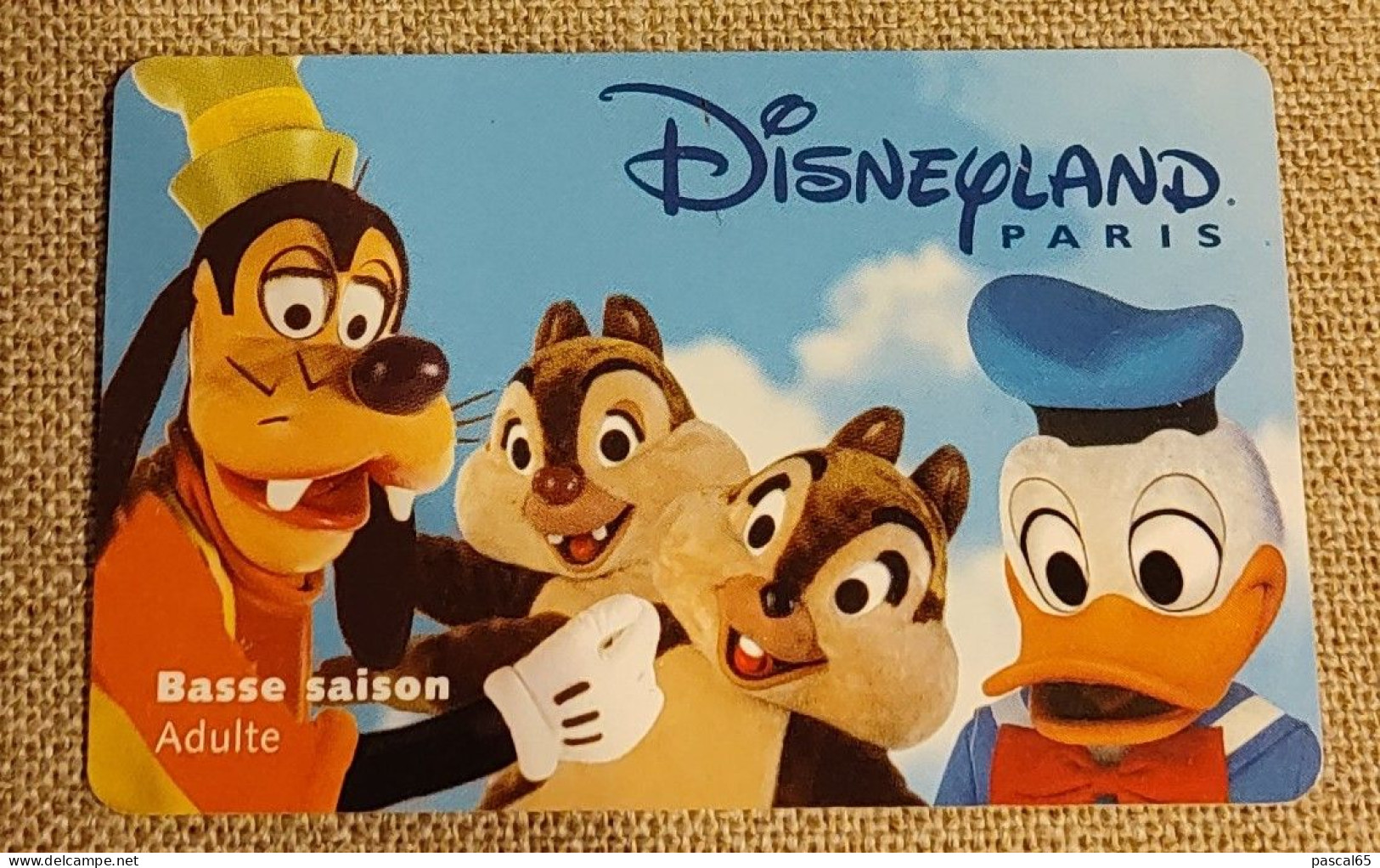 1 Carte Pass / Entrée Enfant Et Adulte Disneyland PARIS Années 90' Représentant Dingo, Tic Et Tac Et Donald - Eintrittskarten