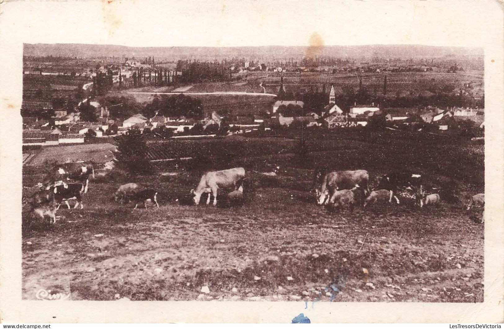 FRANCE - Viré (S Et L) - Grands Vins Blancs Réputés - Vue Générale - Des Bœufs - Vue De La Ville -Carte Postale Ancienne - Vire