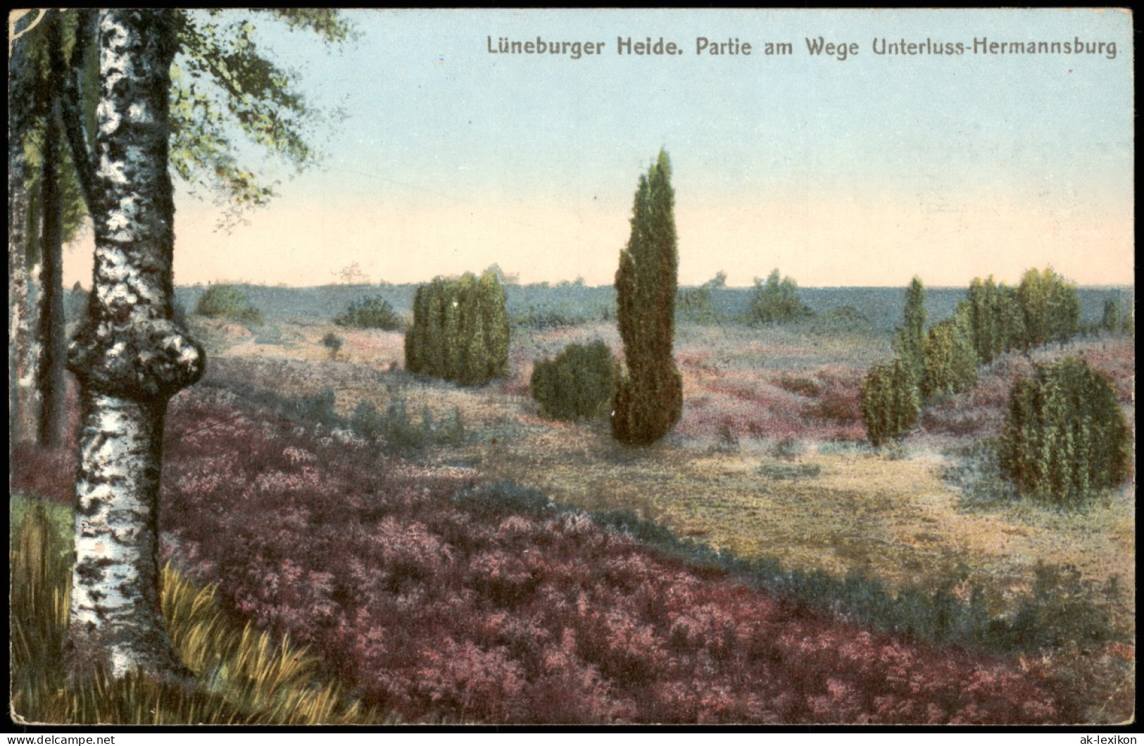 .Niedersachsen Lüneburger Heide Partie Am Wege Unterluss-Hermannsburg 1911 - Lüneburger Heide