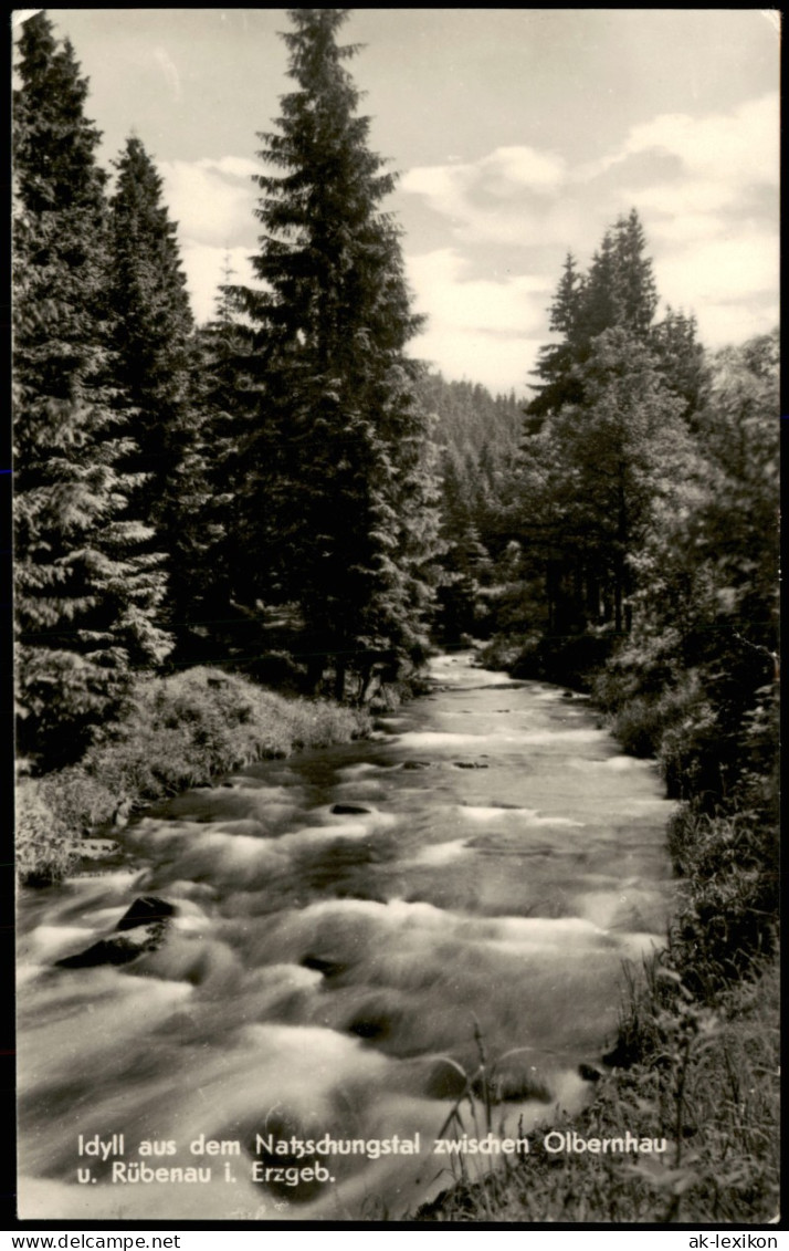 Olbernhau Idyll Natzschungstal Zwischen Olbernhau Rübenau I. Erzgebirge 1940 - Olbernhau