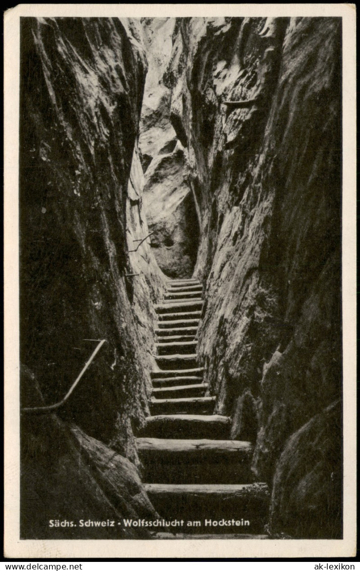 Ansichtskarte Hohnstein (Sächs. Schweiz) Wolfsschlucht, Sächs. Schweiz 1953 - Hohnstein (Sächs. Schweiz)