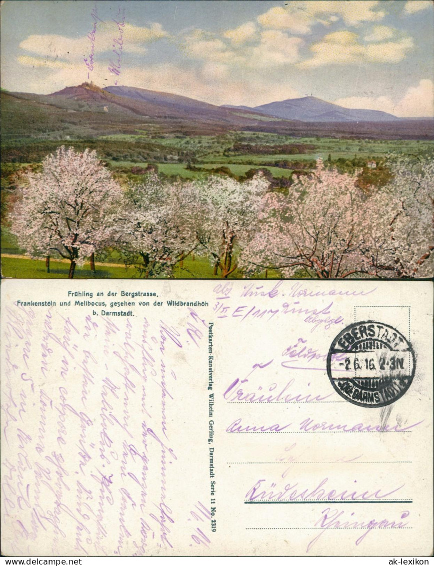 Ansichtskarte Bensheim  Melibokus Stimmungsbild Im Frühling 1916  Gel. Feldpost - Bensheim
