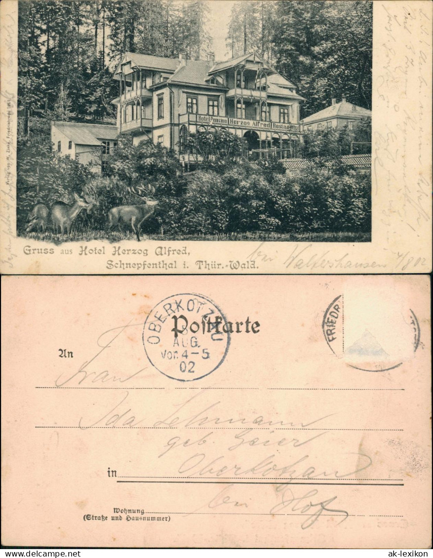 Schnepfenthal-Waltershausen Ortsansicht Mit Hotel Pension Herzog Alfred 1902 - Waltershausen