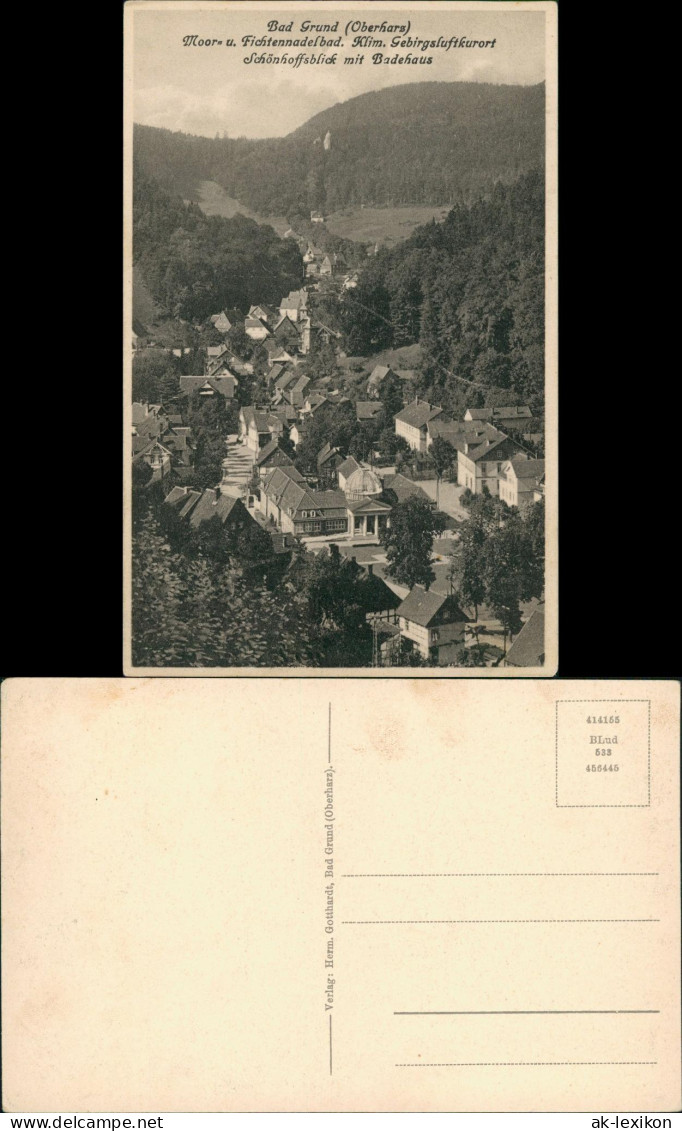 Bad Grund (Harz) Panorama-Ansicht Schönhoffsblick Mit Badehaus 1920 - Bad Grund
