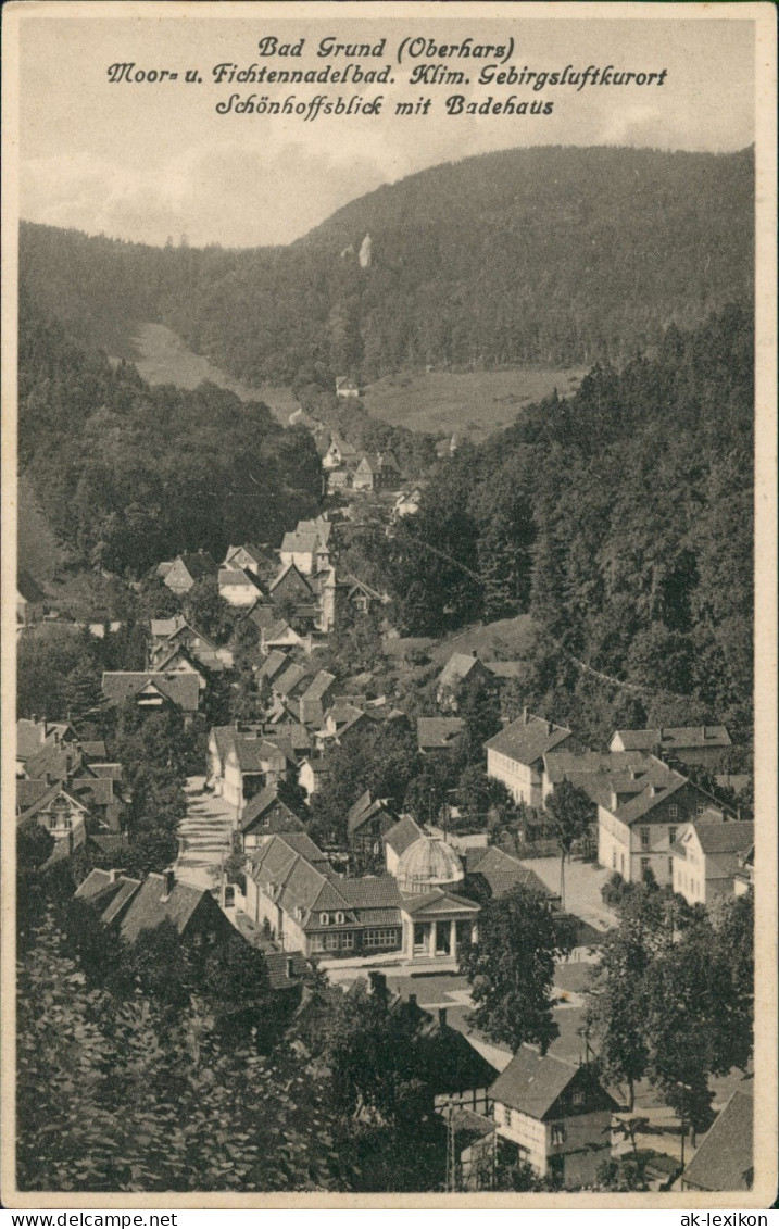 Bad Grund (Harz) Panorama-Ansicht Schönhoffsblick Mit Badehaus 1920 - Bad Grund