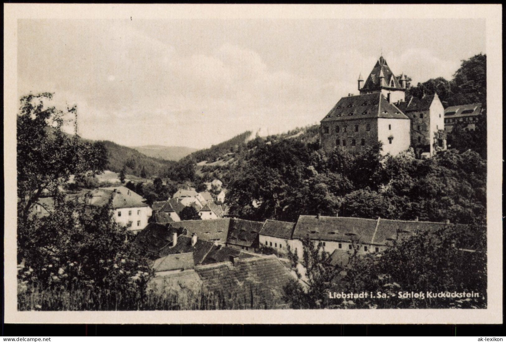 Ansichtskarte Liebstadt Stadtblick 1928 - Liebstadt