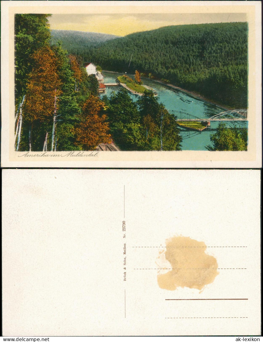 Ansichtskarte Amerika (Mulde)-Penig (Mulde) Blick Ins Muldental 1928 - Penig