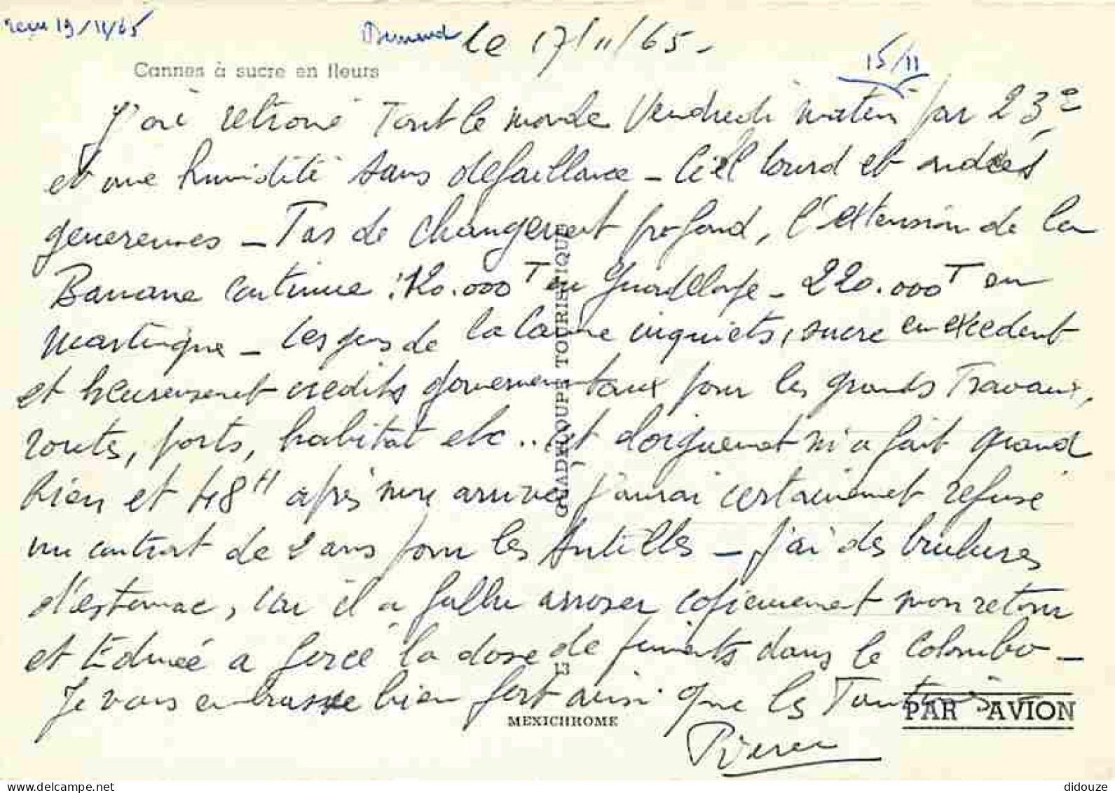 Antilles - Cannes à Sucre En Fleurs - CPM - Voir Scans Recto-Verso - Autres & Non Classés