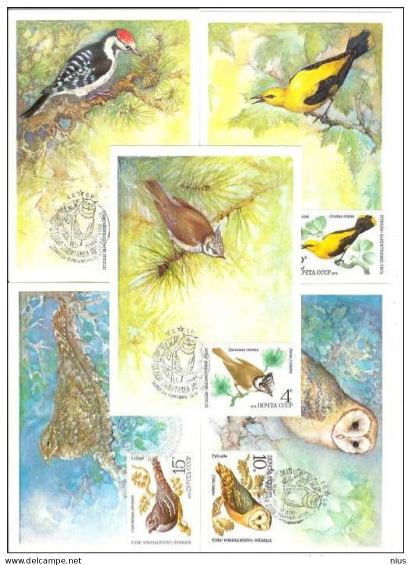 Russia  USSR 1979 Maximum Cards Fauna Birds Bird Oiseaux Vögel Uccelli Pássaros Pájaros - Cartoline Maximum