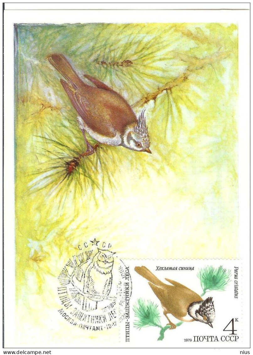 Russia  USSR 1979 Maximum Cards Fauna Birds Bird Oiseaux Vögel Uccelli Pássaros Pájaros - Maximumkaarten