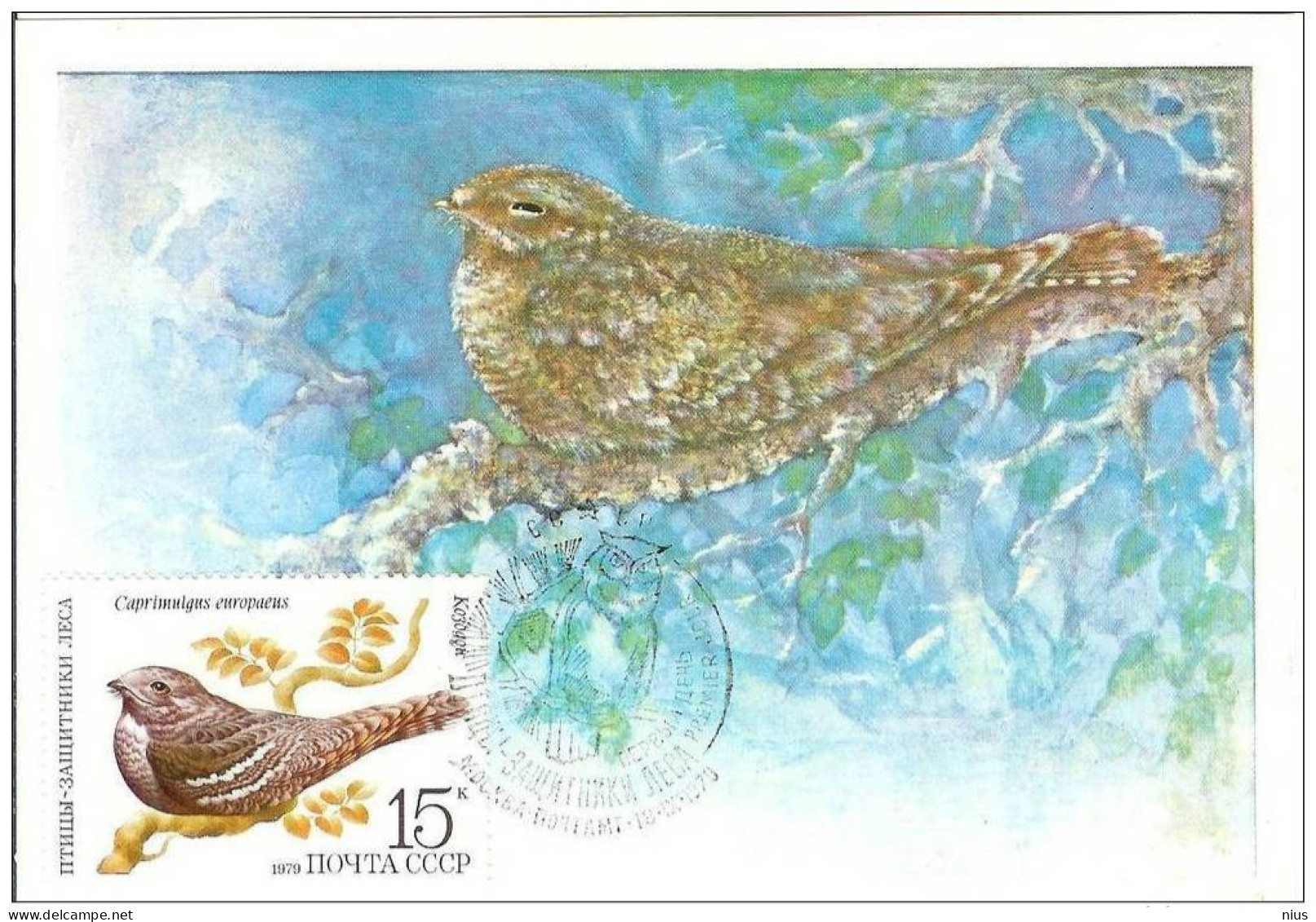 Russia  USSR 1979 Maximum Cards Fauna Birds Bird Oiseaux Vögel Uccelli Pássaros Pájaros - Tarjetas Máxima