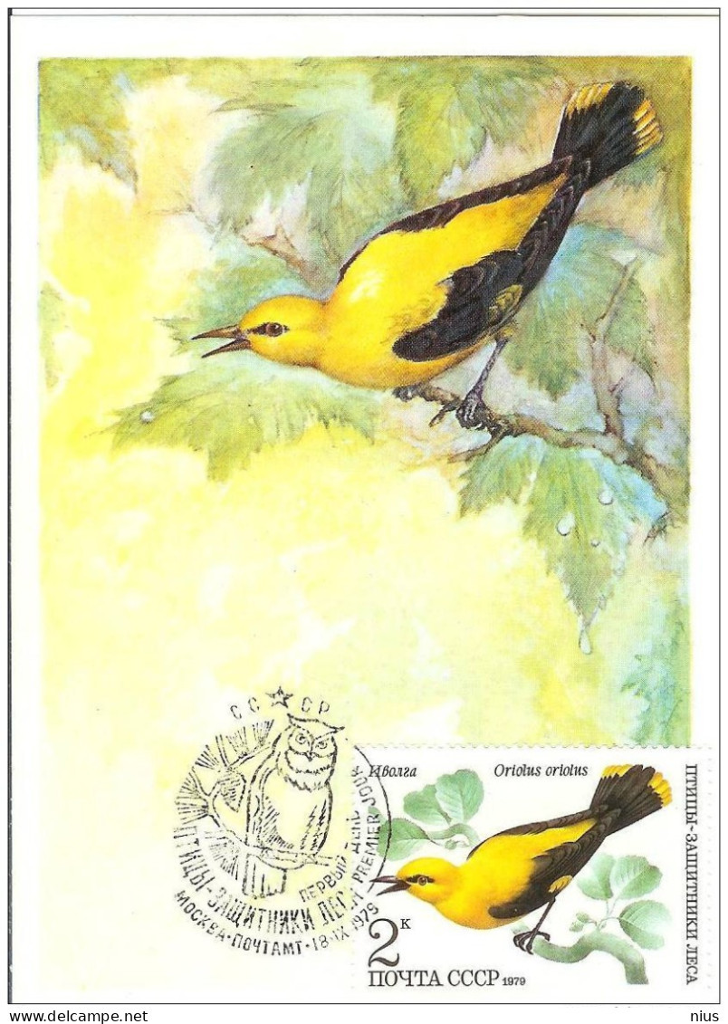 Russia  USSR 1979 Maximum Cards Fauna Birds Bird Oiseaux Vögel Uccelli Pássaros Pájaros - Maximumkarten