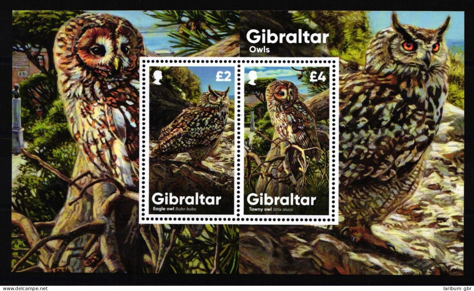 Gibraltar Block 145 Postfrisch Eulen, Vögel #NE966 - Gibraltar