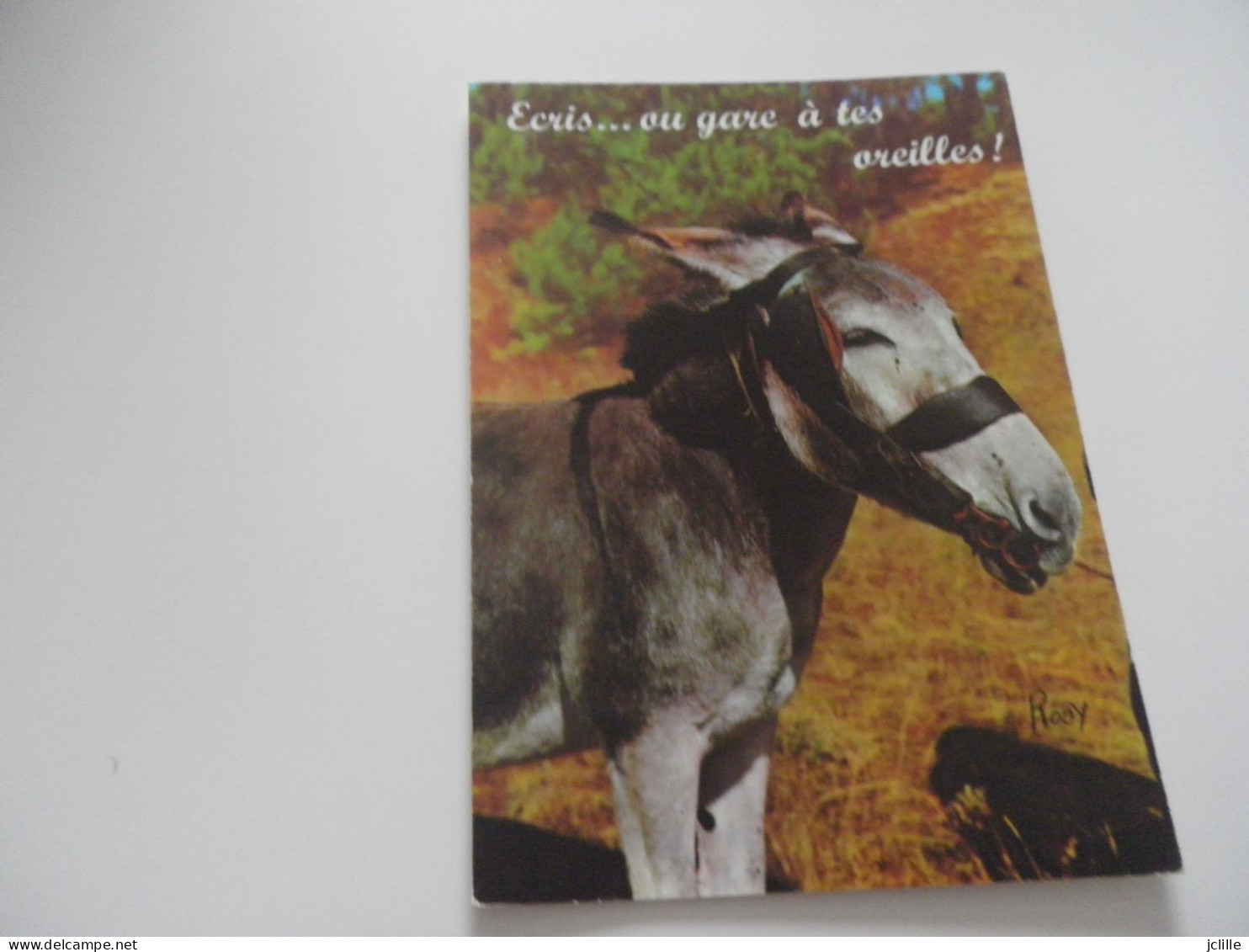 LOT DE +DE 100 Cartes ANIMAUX - CHIEN CHAT ANE DAUPHIN SINGE ELEPHANT OISEAUX Etc - Verzamelingen & Kavels